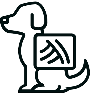 Röntgen